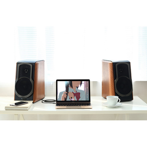 Кабель AUX Audio TRS - RCAx2 M/M 5.0м UGREEN AV102 Чорний