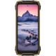 Смартфон Blackview BV7300 6.67" HD+ /6GB/256GB/ MT6769V /15000mAh/ 50+20Мп /IP69K/NFC Yellow